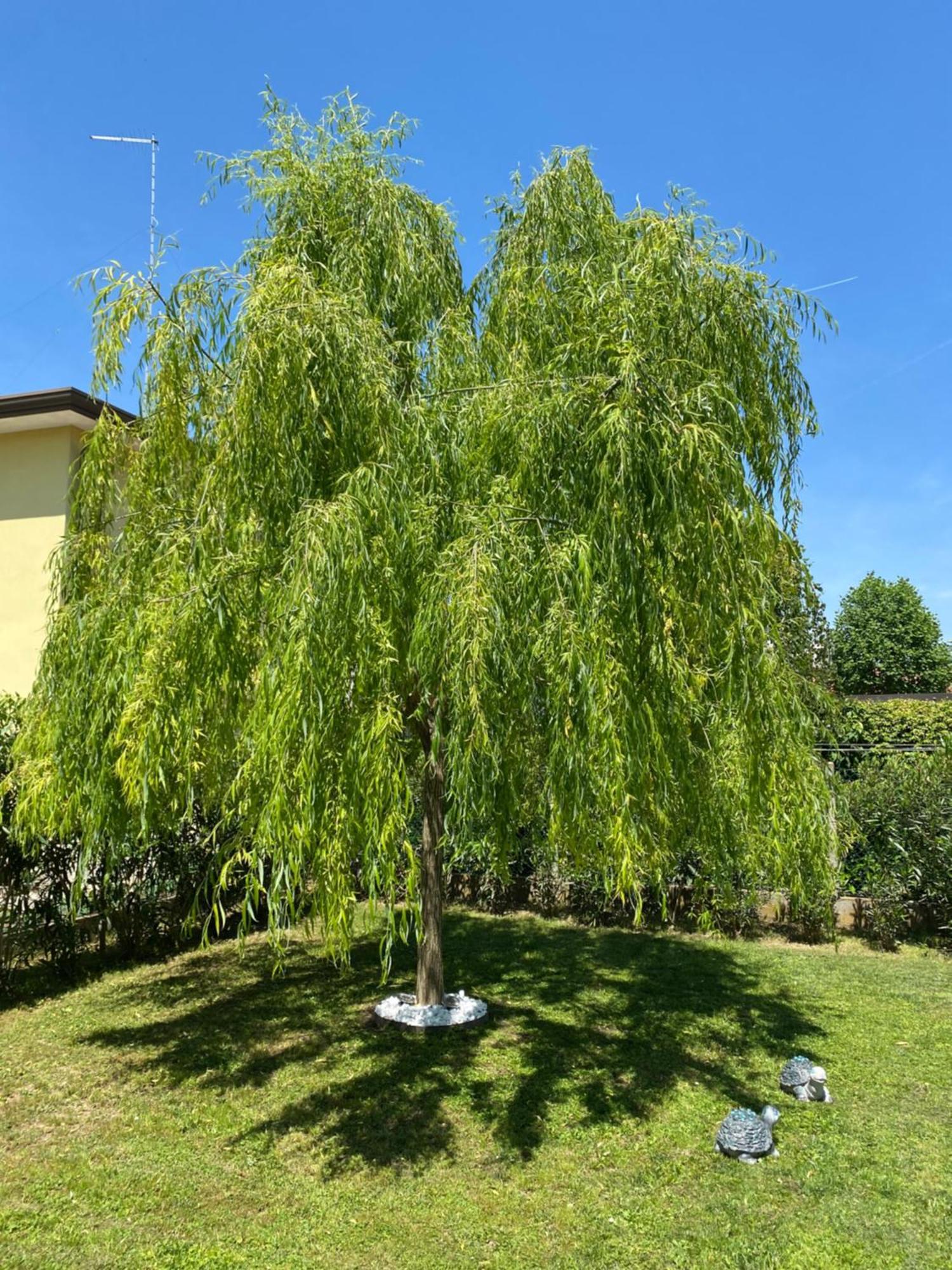 Gondola House Villa Favaro Veneto Exterior photo